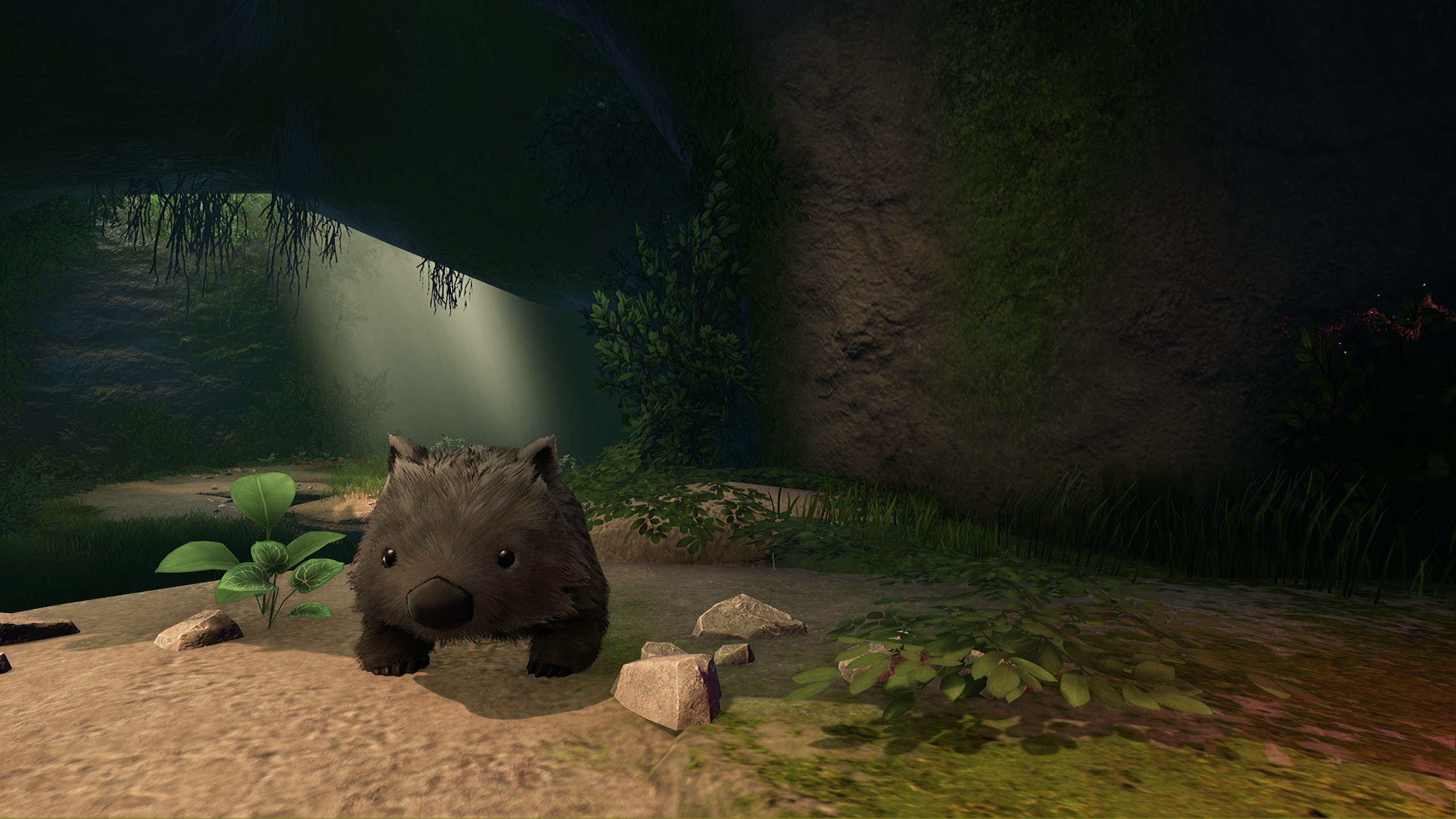 wombat