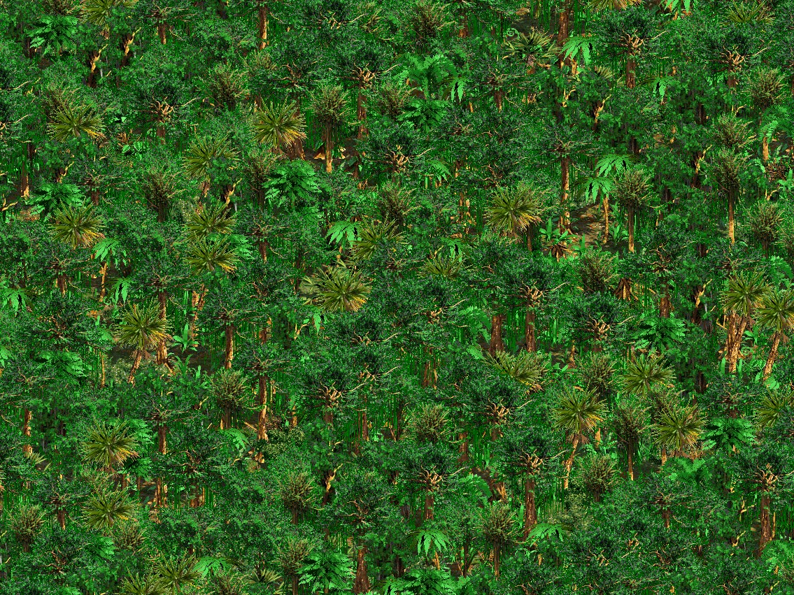 Tropical Black Forest (RMS)