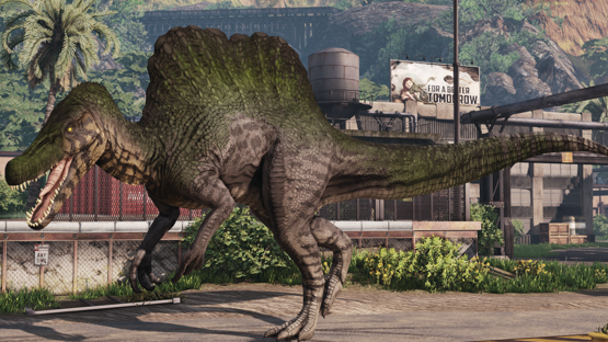 Porosus Spino (Mutation) St Patricks 2021