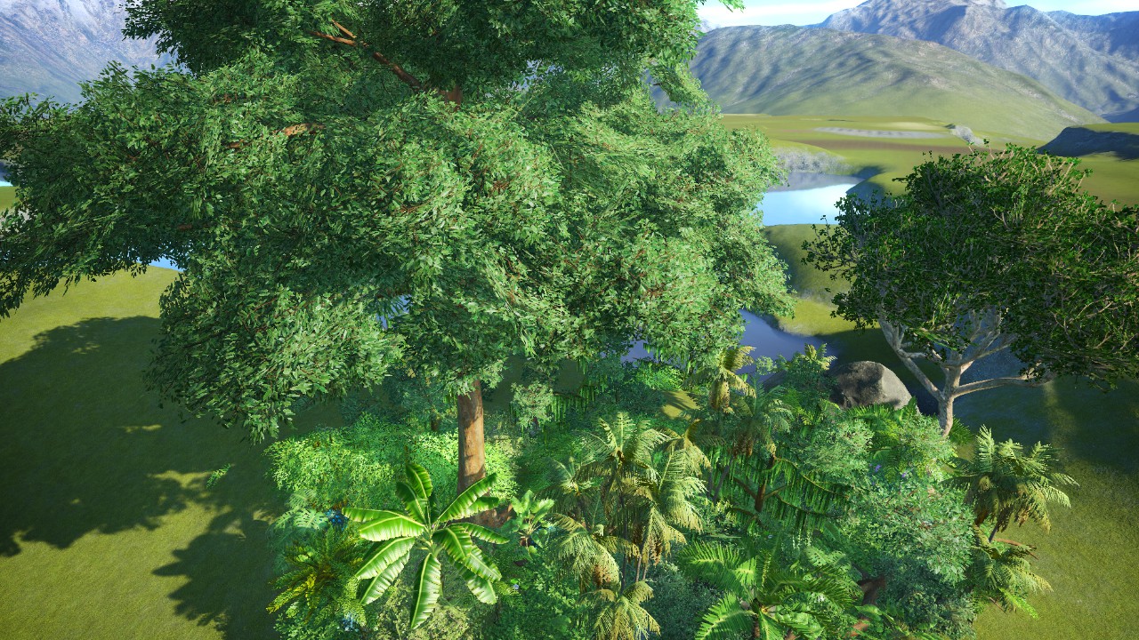 Tropical Wildlife