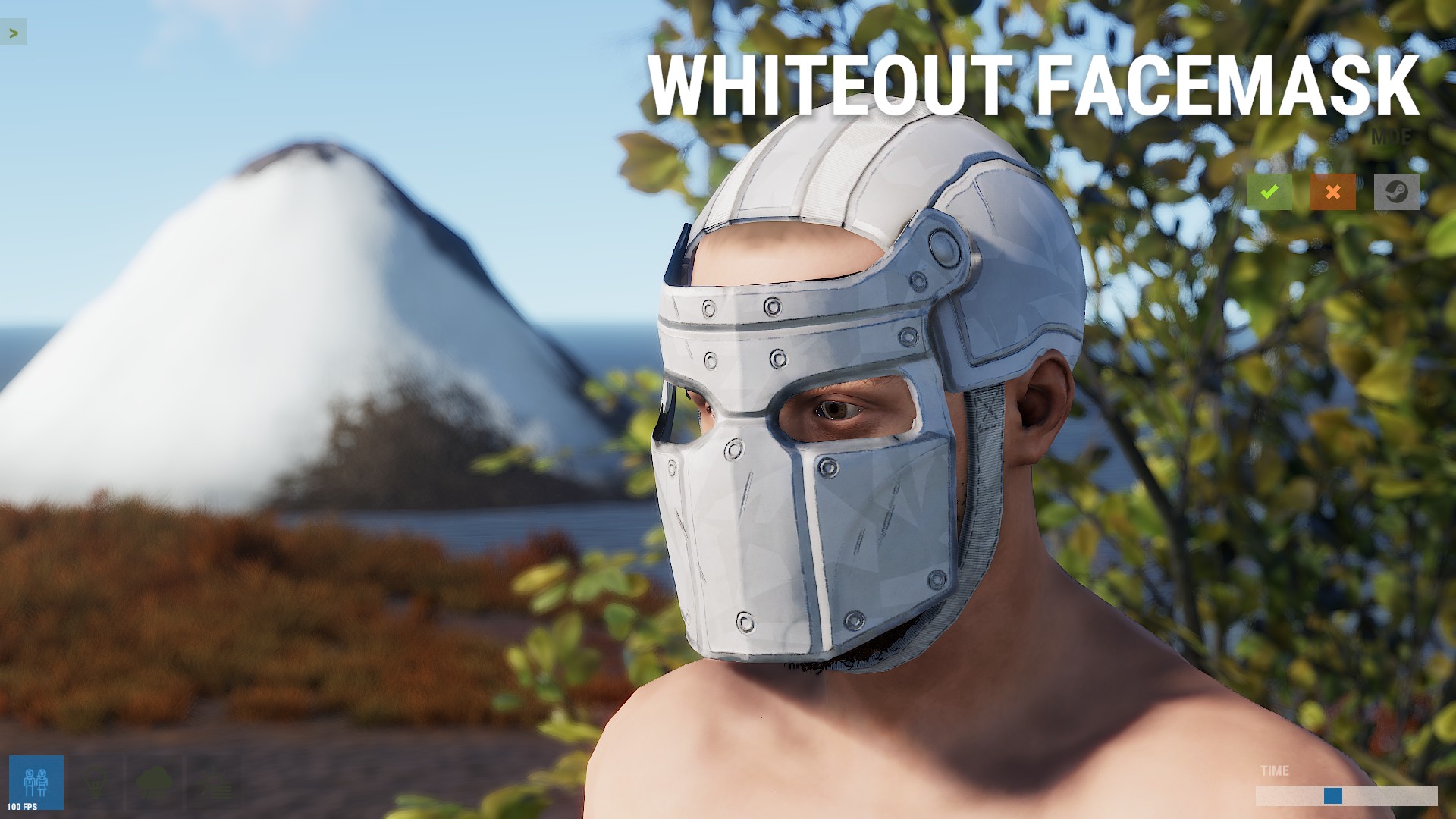 Whiteout Facemask