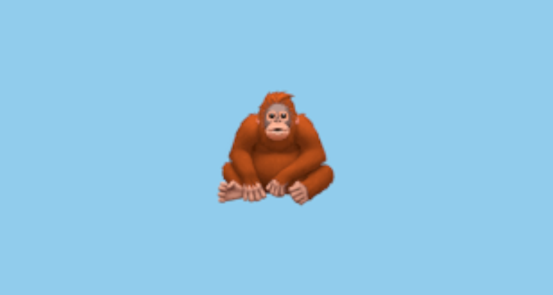 Monke