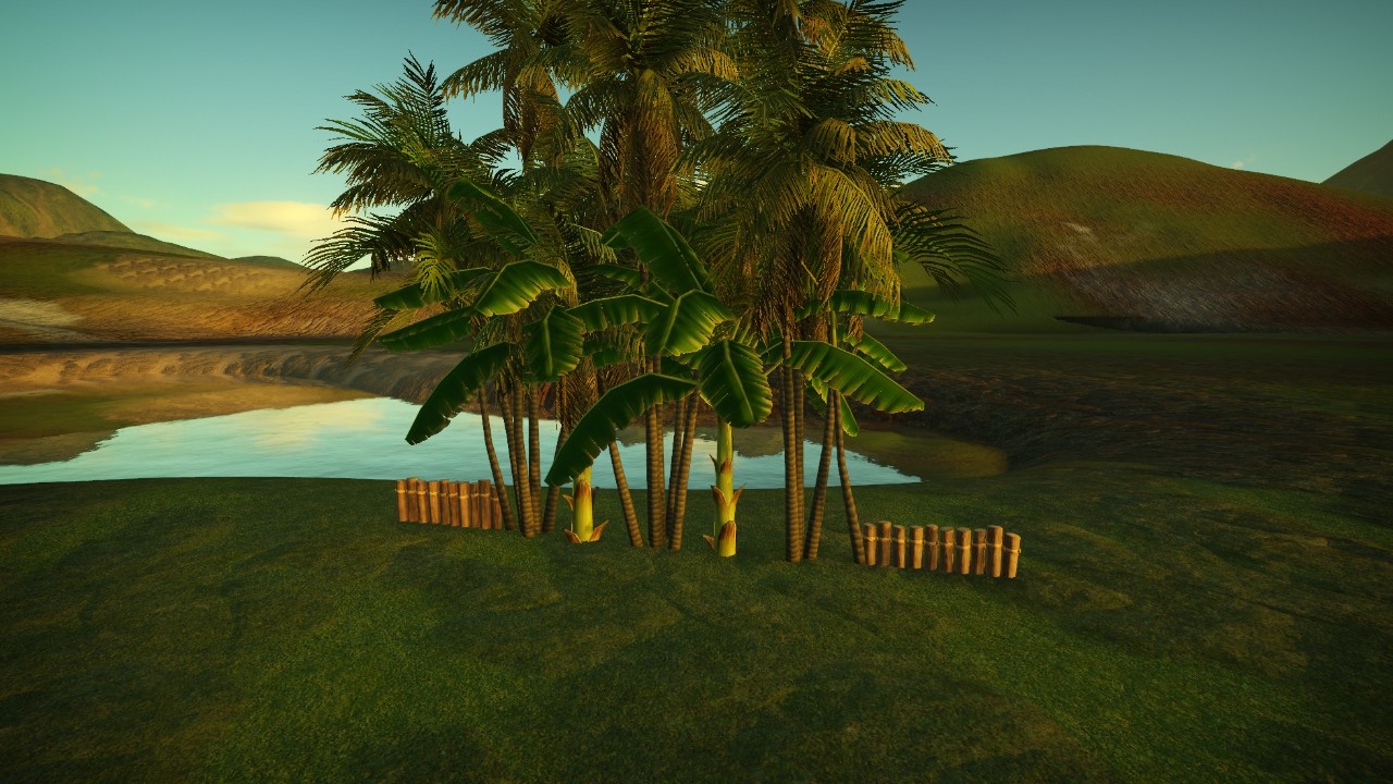 Tropical Narrow Path Plants