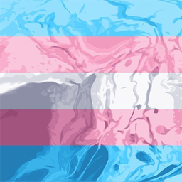 Trans Flag Banner