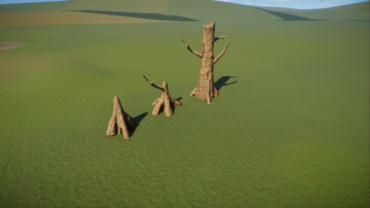 Petrified Tree Trunks