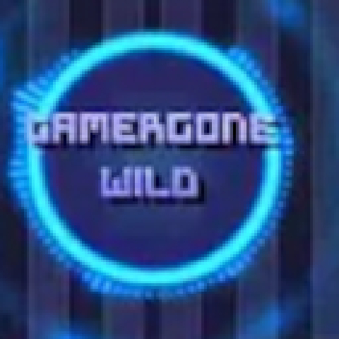 GamerGoneWild – tModLoader Mod