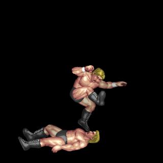 Bret Hart Leg Drop