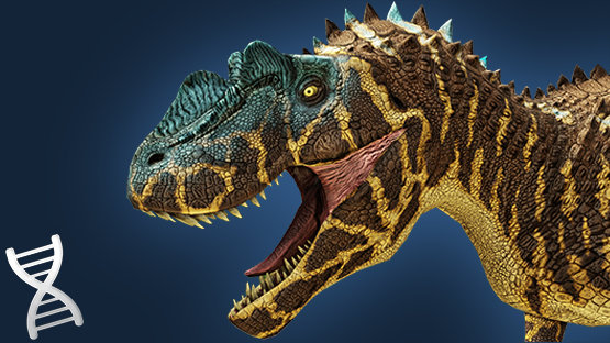 Dry Mesa Cerato (Skin+Mut)