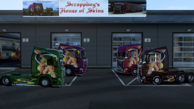 Pin Up for Scania Next Gen R & S