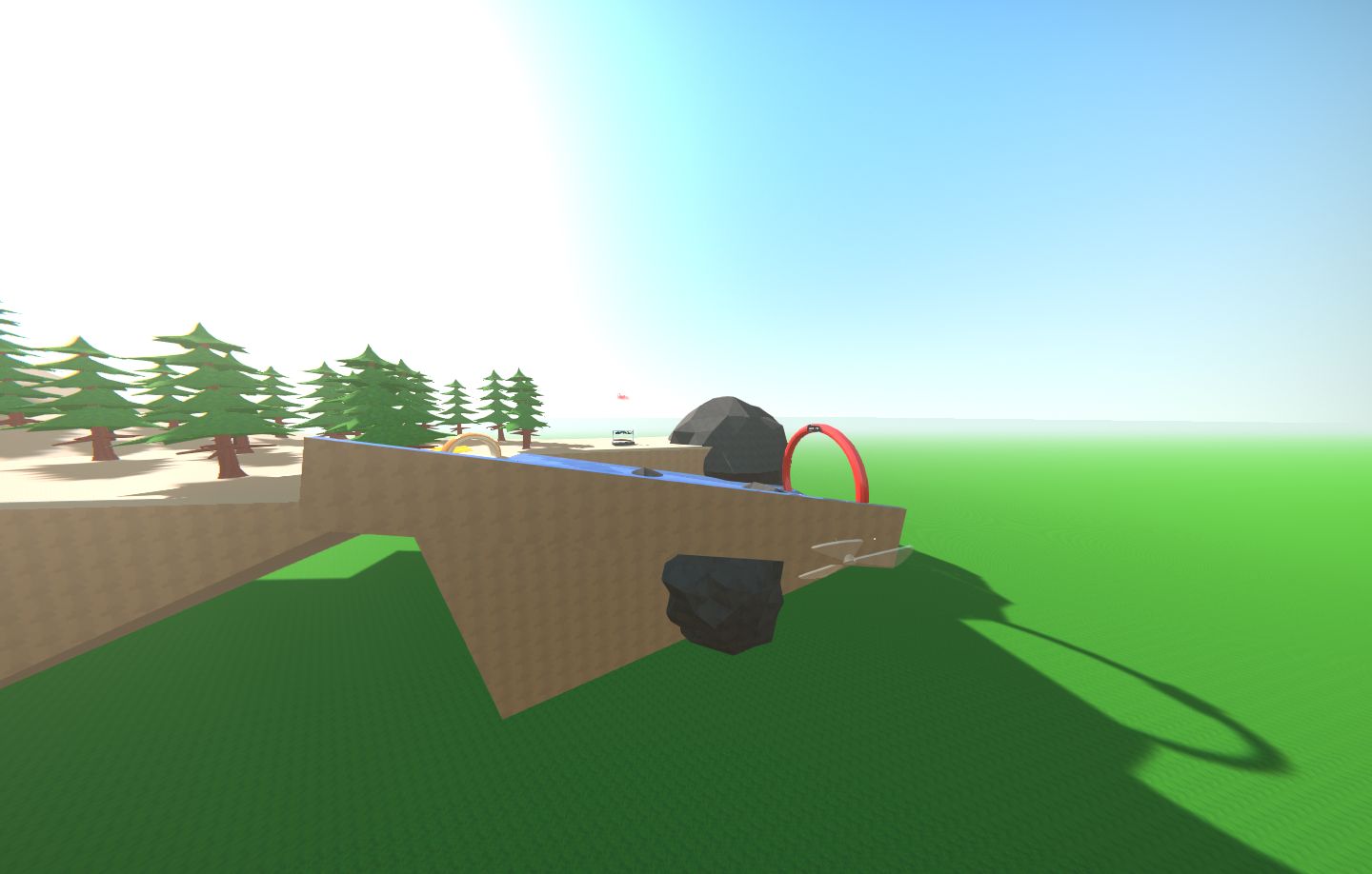 Ski Slalom