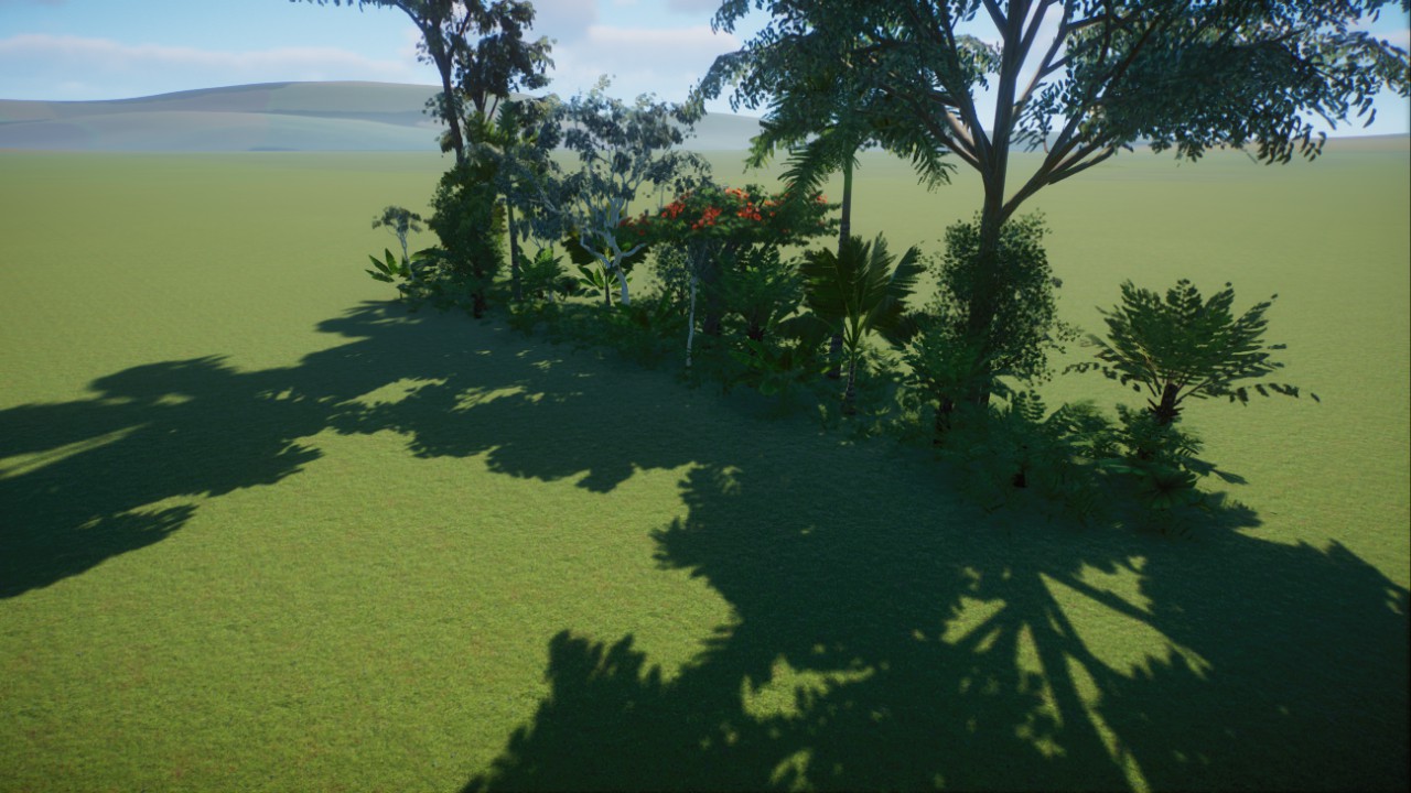 Thin Patch Of Tropical Australian Bush preview