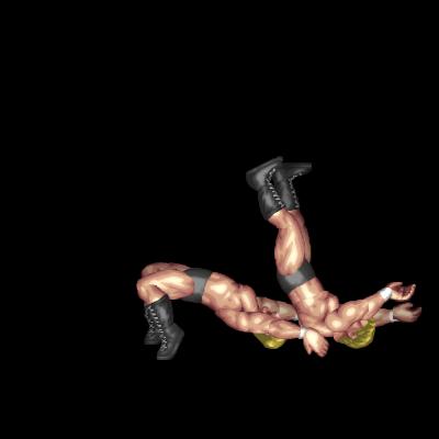 ジャーマンスープレックスホイップB / German Suplex Whip B