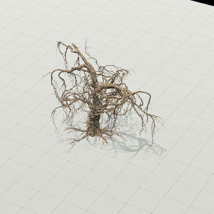 DeadWeepingTree2