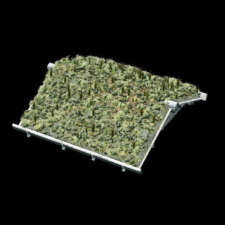 Grass covered roof - slavic