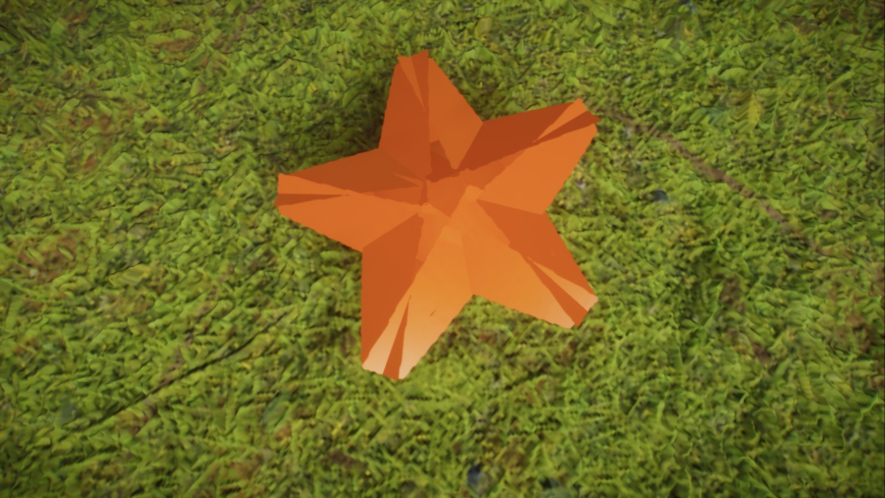 Starfish