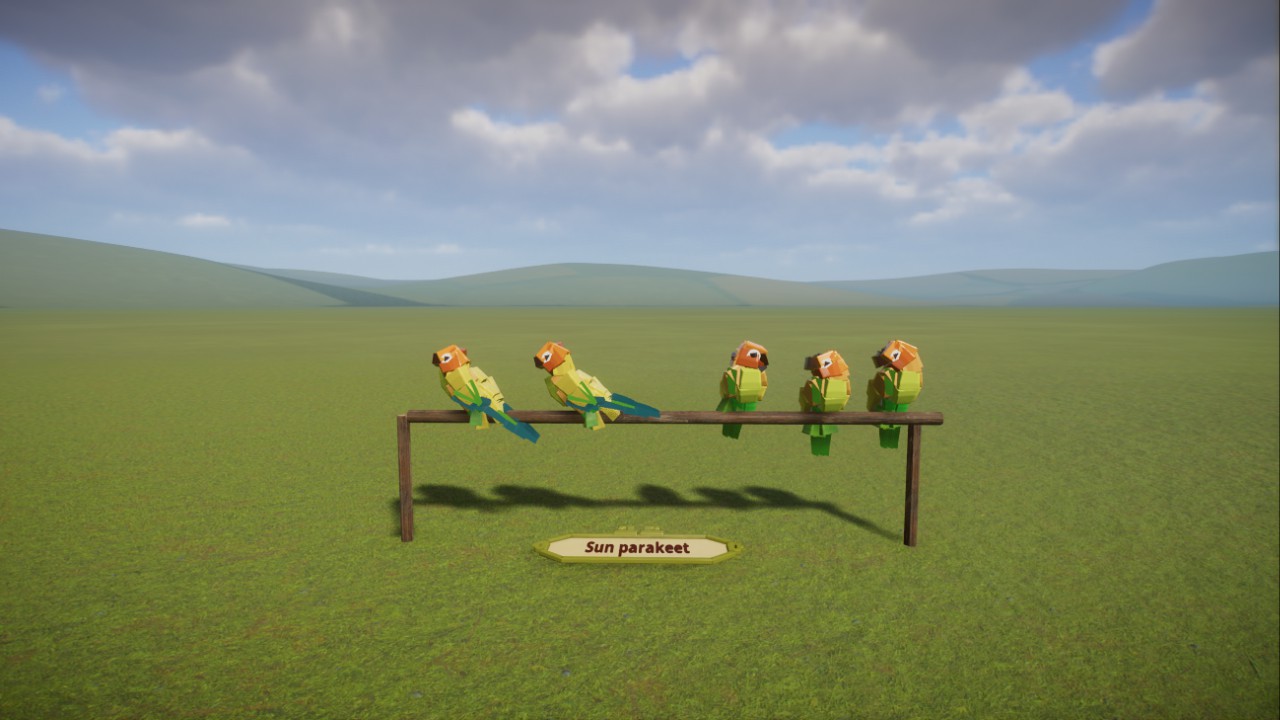 Drac's sun parakeet