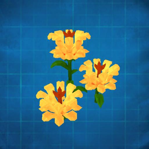 Wild flowers