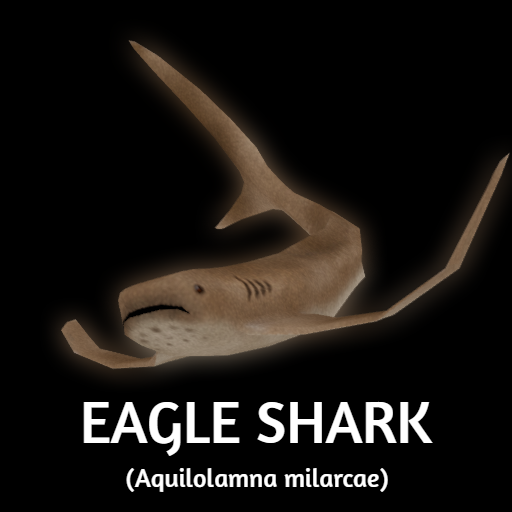 Aquilolamna