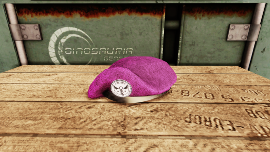 Pink Beret (Valentines 2021)