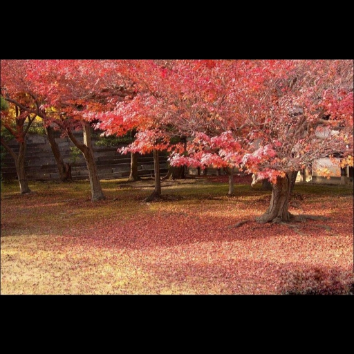 阴间自闭图一