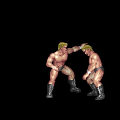 Undertaker's Punch