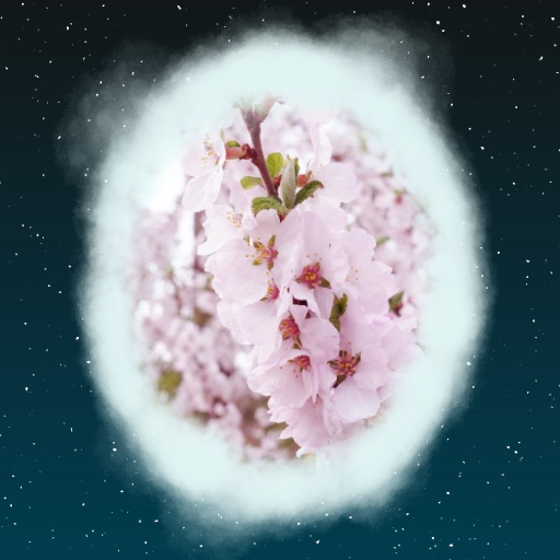Plum - Sincerely, To You