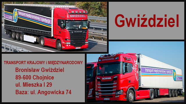 Combo Skin Gwiździel