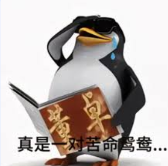 真是一对苦命鸳鸯！