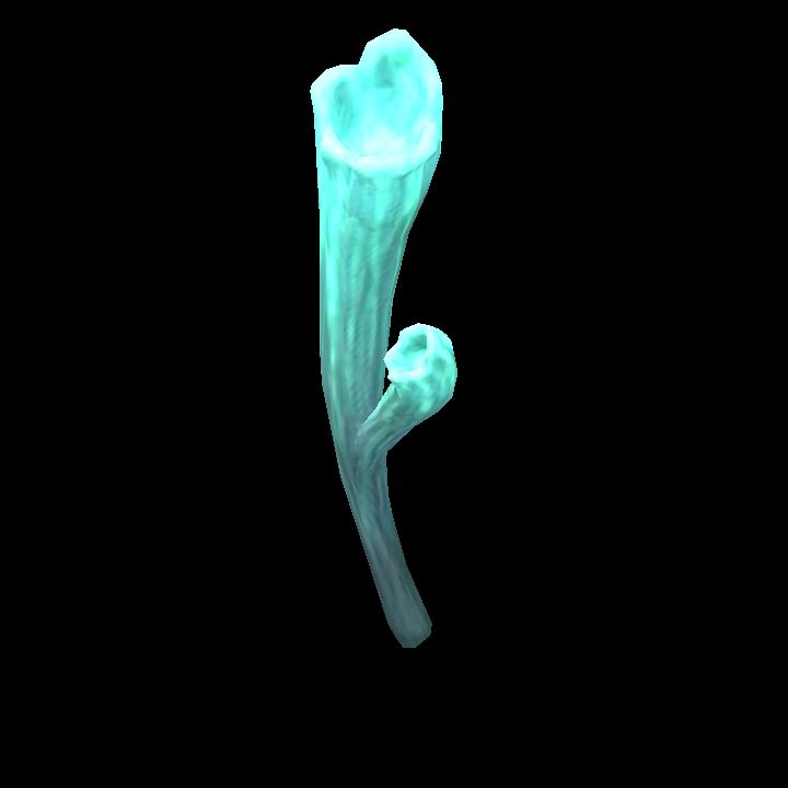 Mushroom_07