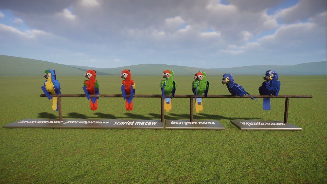 Drac's macaws