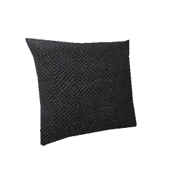 RH Throw Pillow 2