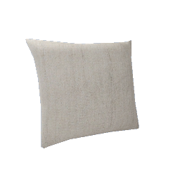 RH Throw Pillow 35