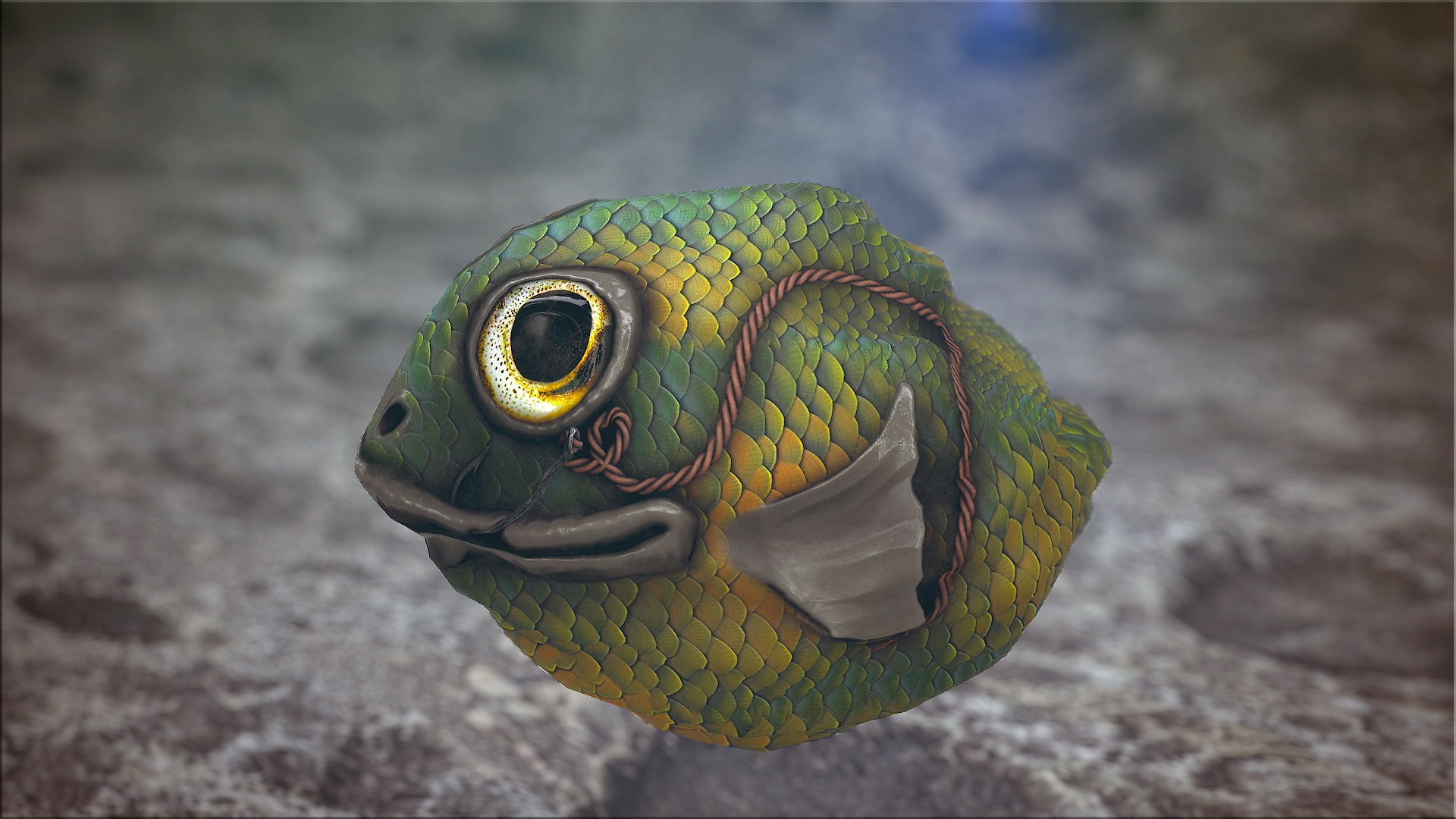 Fish Rock