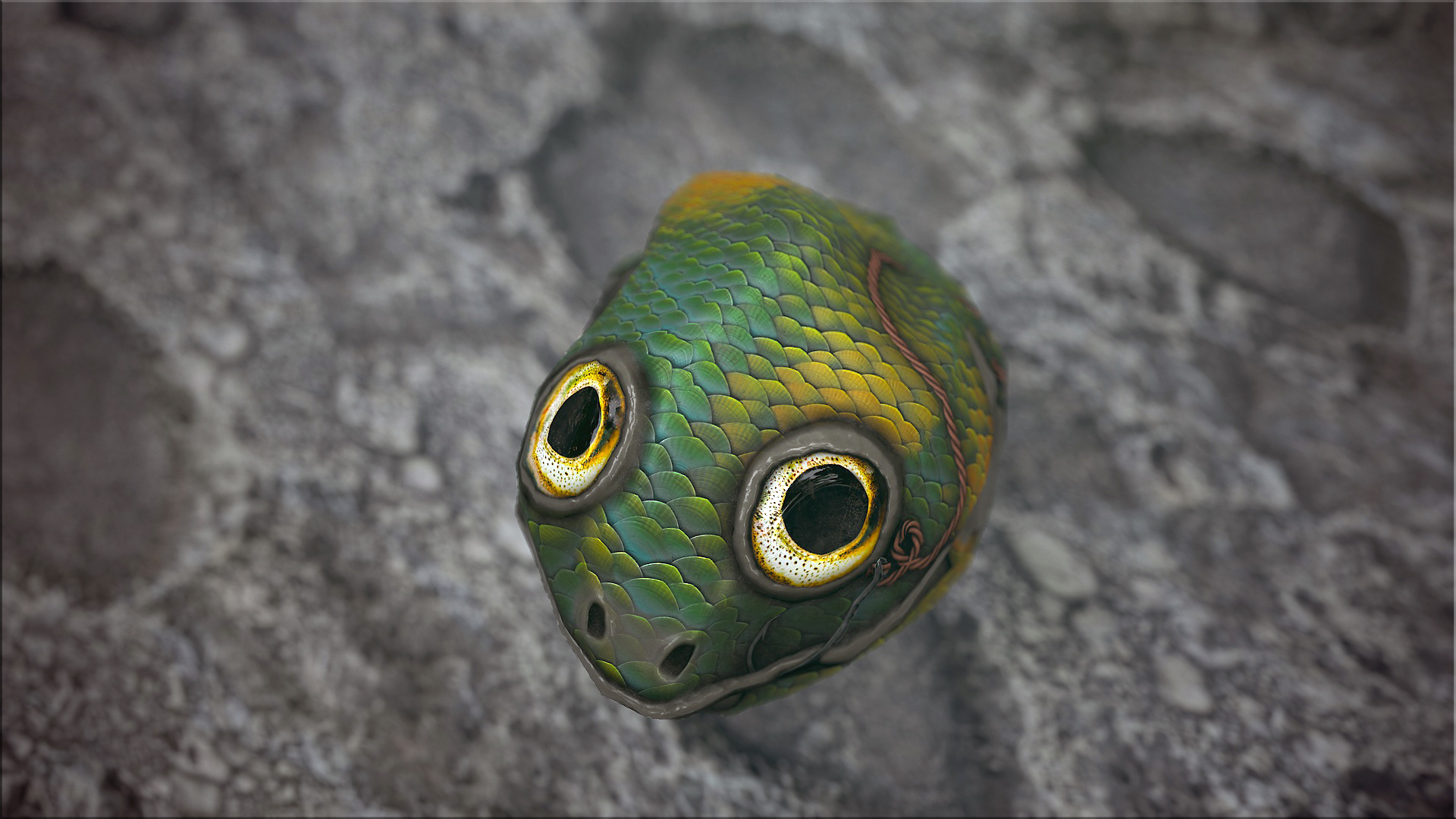 Fish Rock