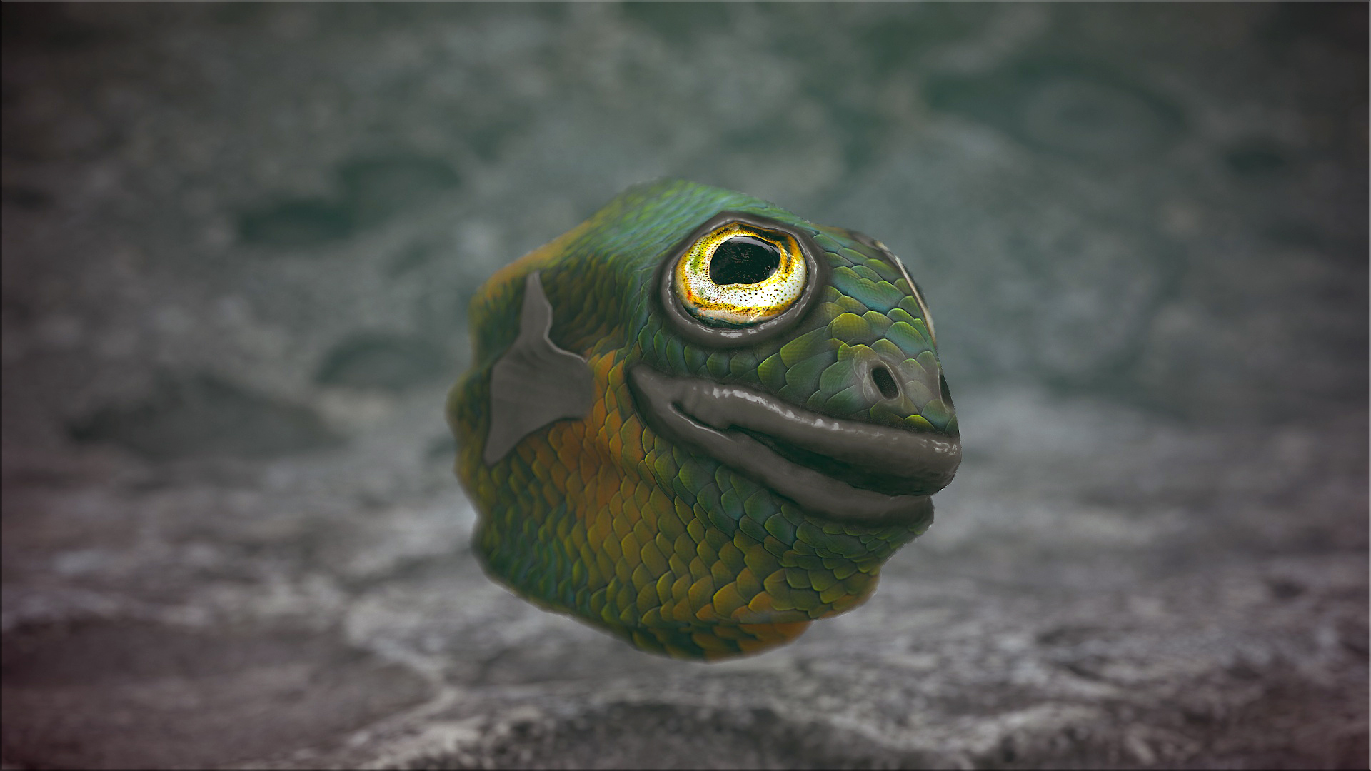 Fish Rock