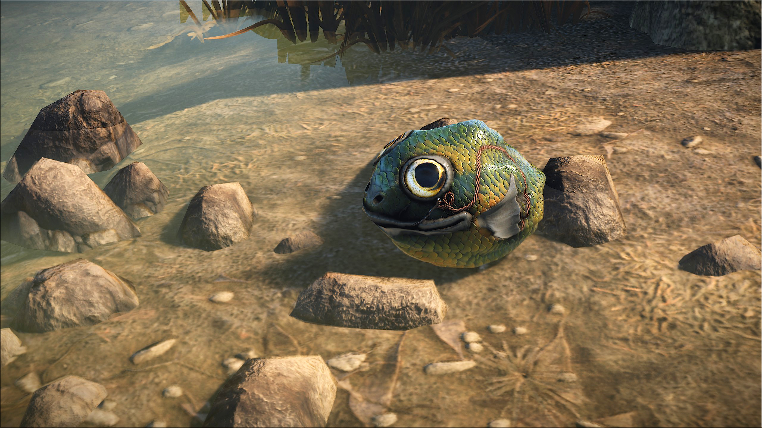 Fish Rock
