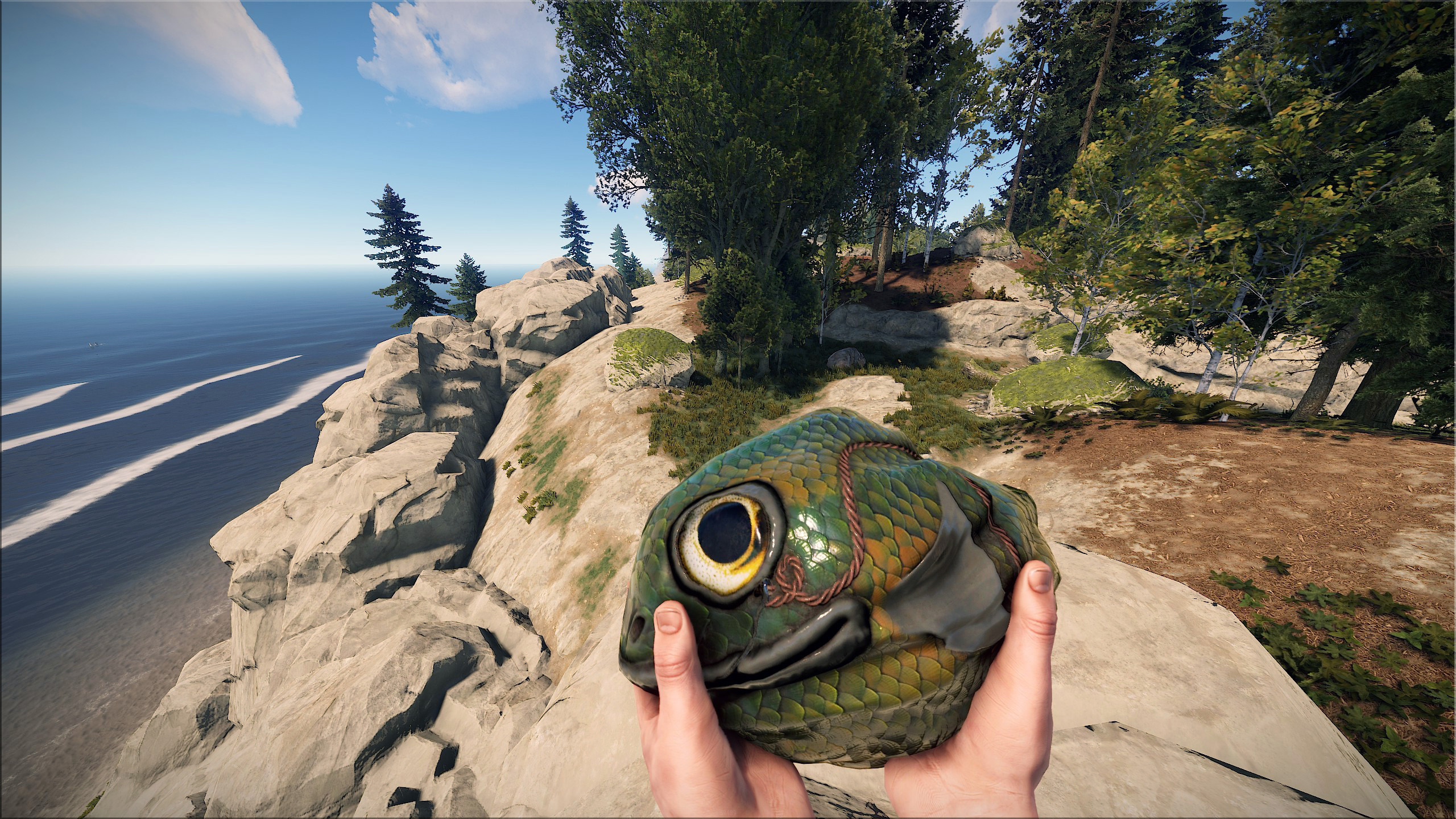 Fish Rock