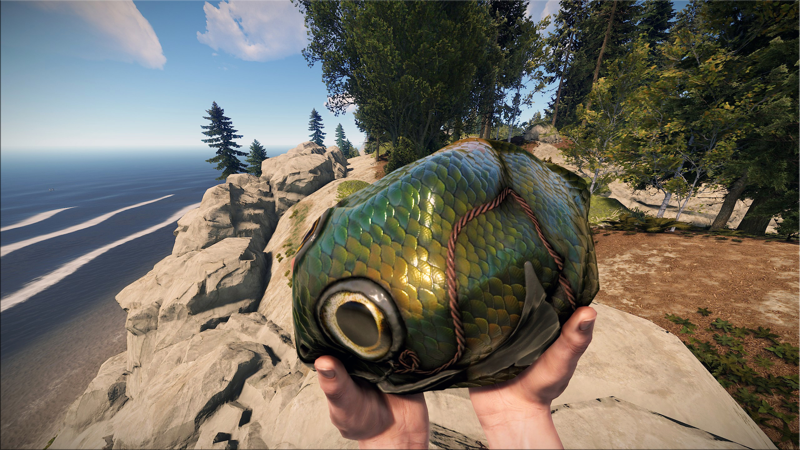 Fish Rock