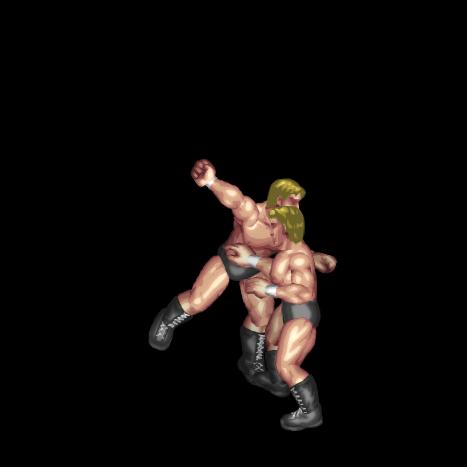 Punching Lariat (Counter)