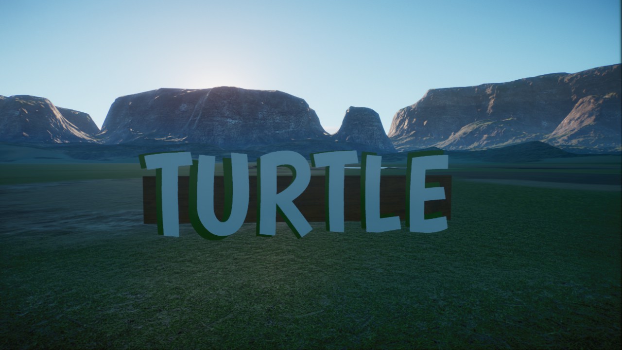Turtle Sign 2