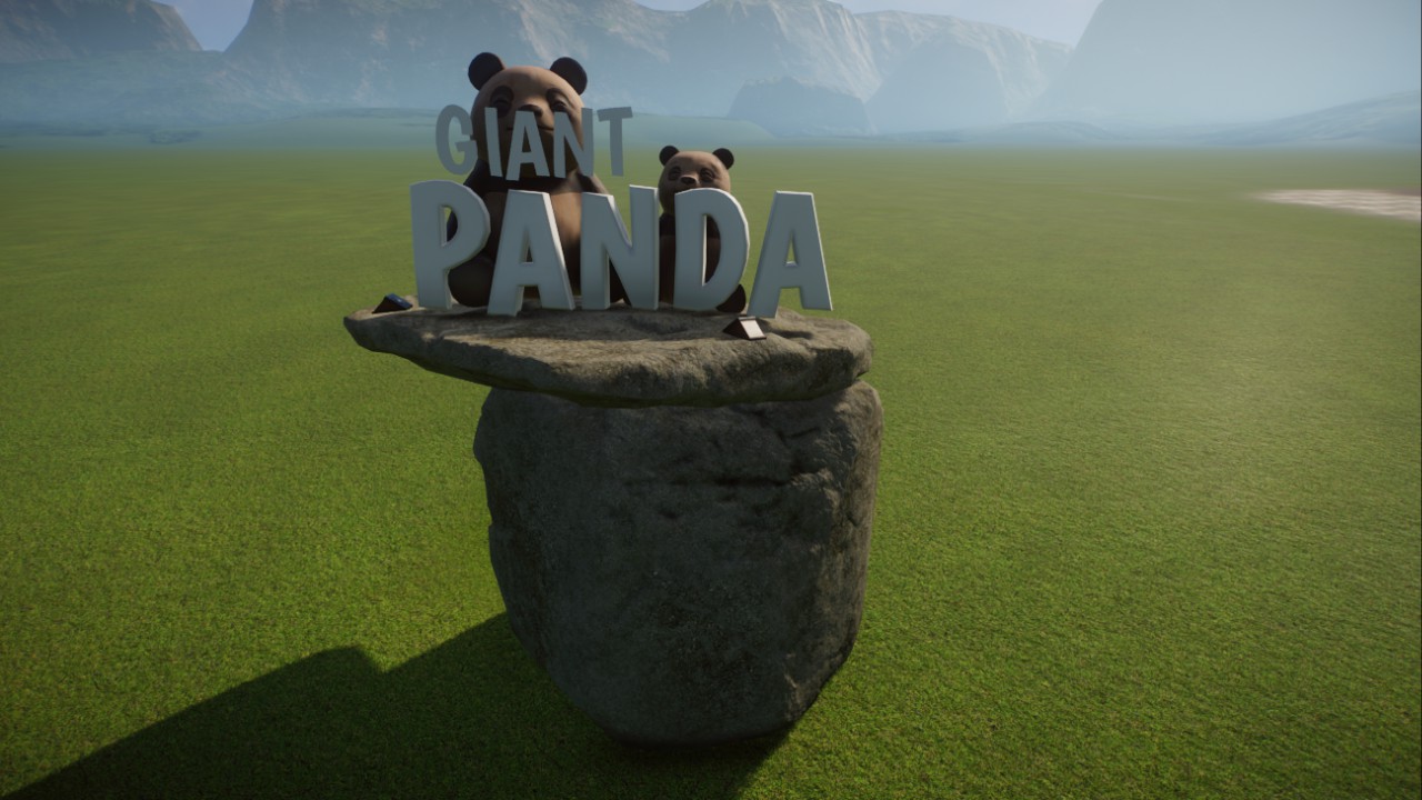 Giant Panda Display