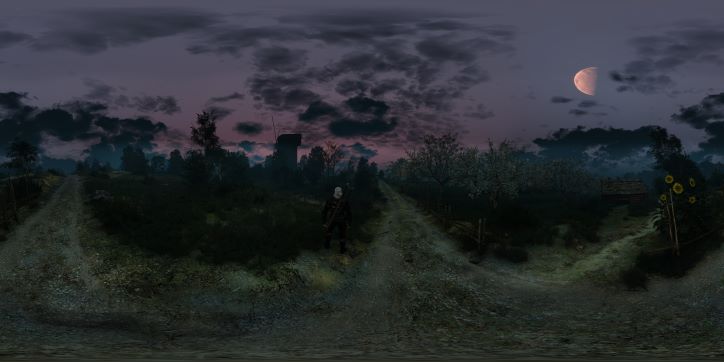 The Witcher 3 windmill at dusk