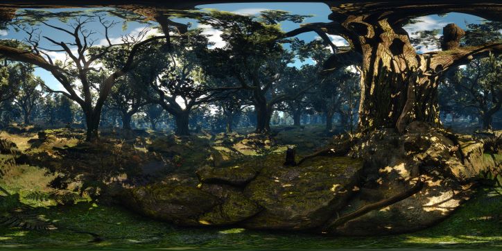 The Witcher 3 Meditation in the Forest
