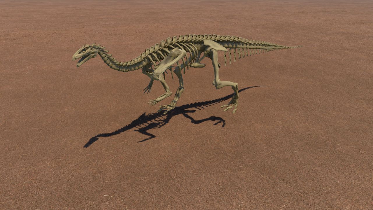 Plateosaurus Skeleton