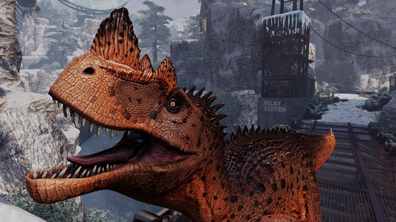 Orange Bellied Cera (Summer 2023)