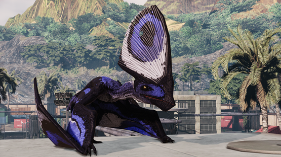Cobalt Tupa