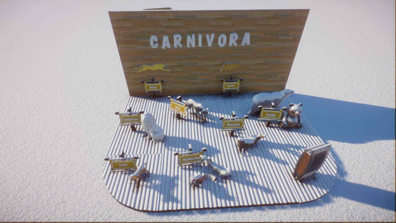 Carnivora display
