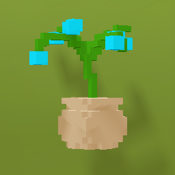 Blue Orchid