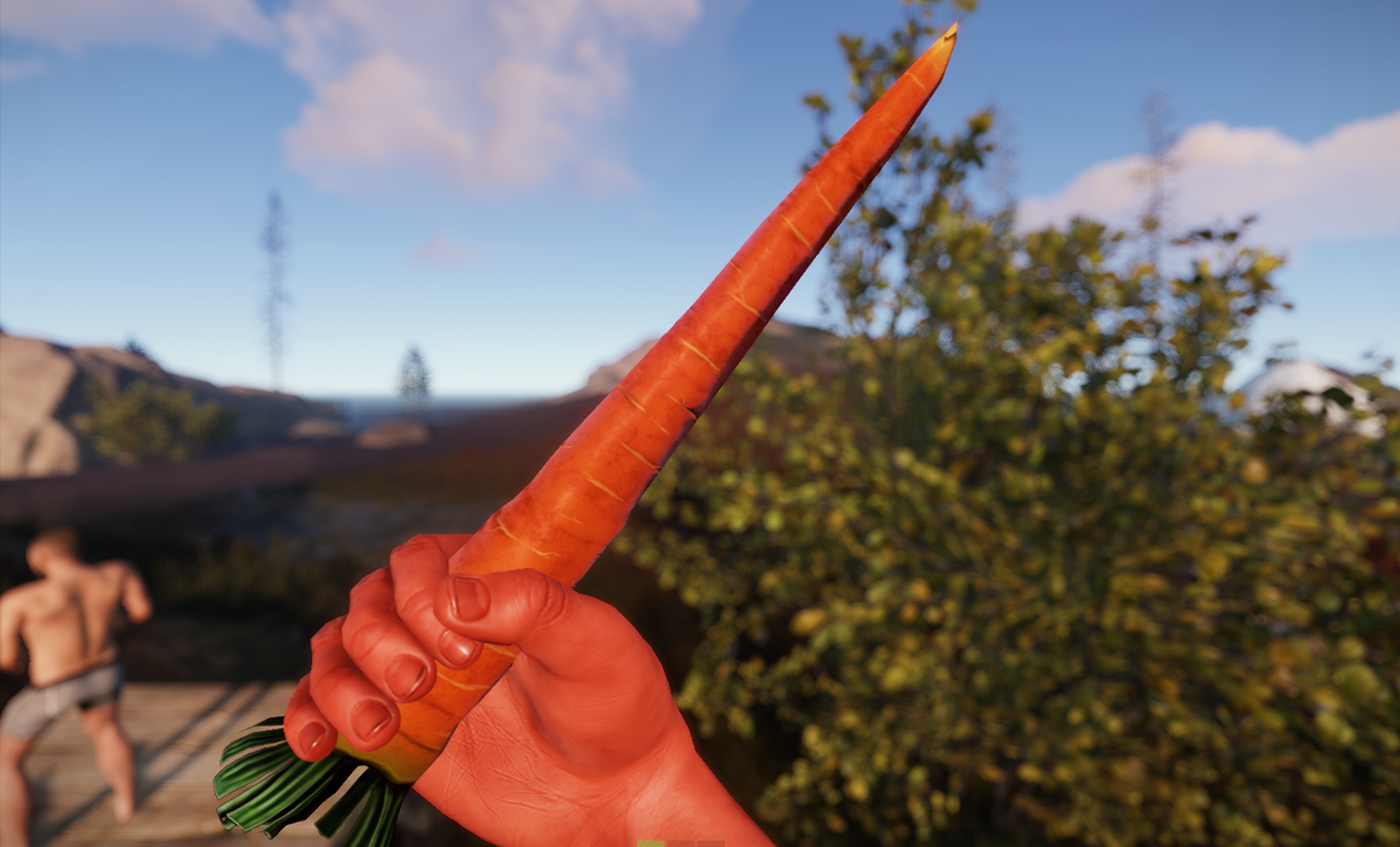 Carrot Knife