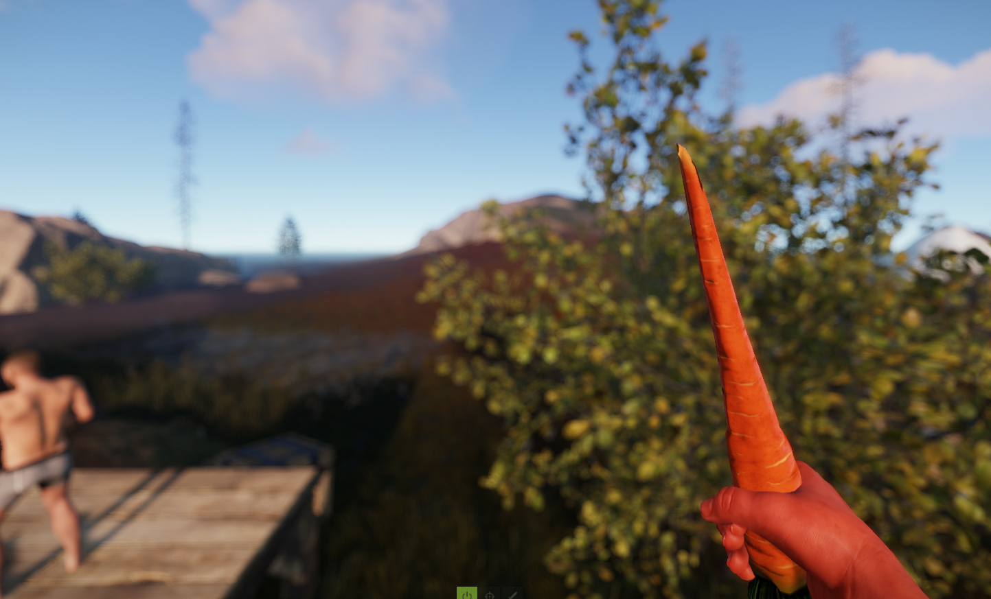 Carrot Knife